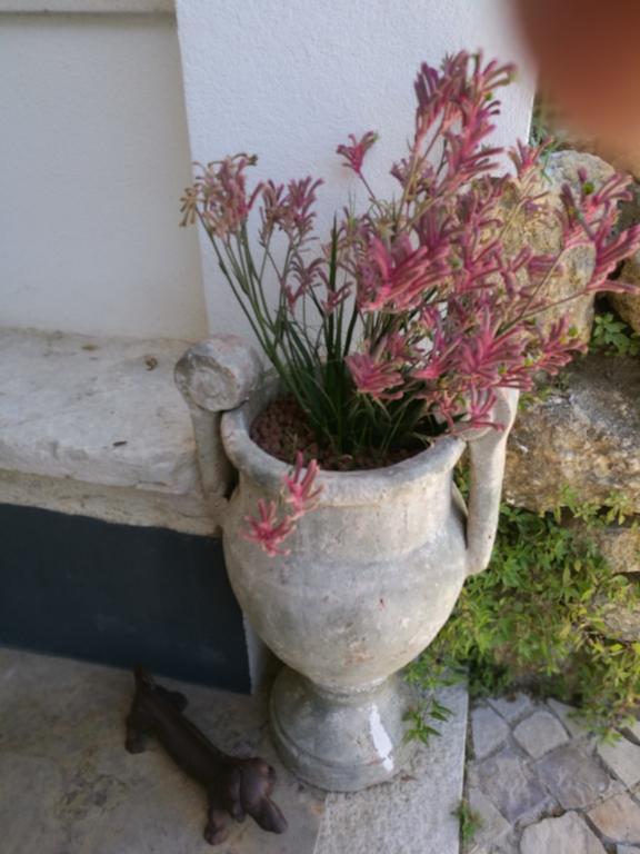 Arrabida Heritage @Portugal Luxury Retreat Guest House Azeitao Exterior photo